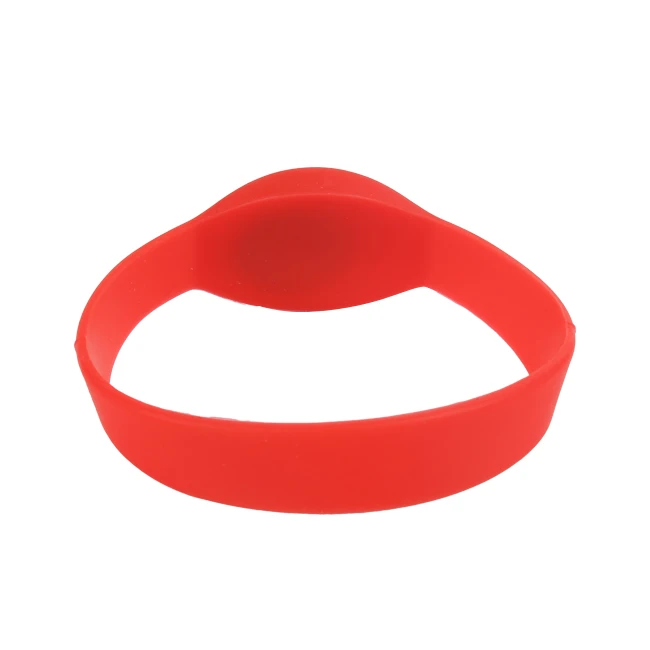 RFID Chip wristband.JPG